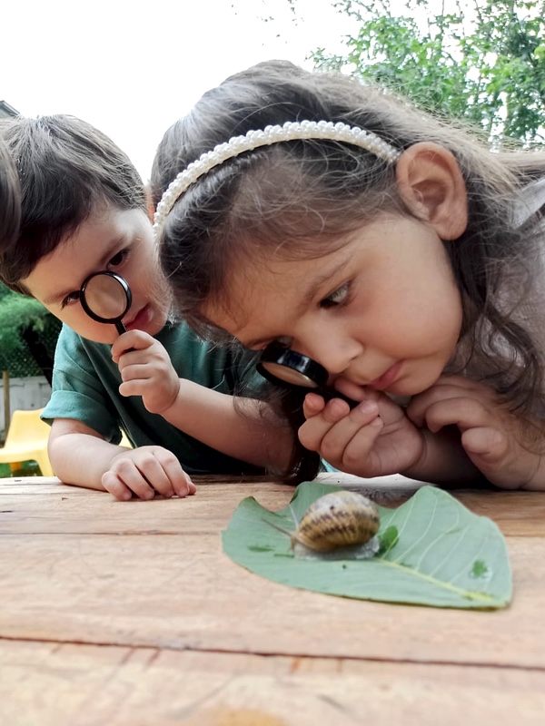 Montessori & Waldorf